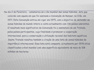 No dia 2 de Fevereiro, comemorou-se o dia mundial das zonas húmidas, data que coincide com aquela em que foi assinada a Convenção de Ramsar, no Irão, em 1971. Esta Convenção entrou em vigor em 1975, com o objectivo de defender as zonas húmidas do mundo inteiro e conta actualmente com 136 países aderentes. O resultado mais significativo da Convenção foi a assinatura de um Tratado, pelos países participantes, cuja finalidade é promover a cooperação internacional, para a conservação e utilização racional dos habitats aquáticos.  Deste Tratado resultou também a criação de uma lista de zonas húmidas de importância internacional. Essa lista está composta, actualmente por 1578 sítios classificados a nível mundial com uma superfície equivalente de mais de 108 milhões de hectares. 