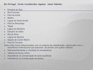 Em Portugal, foram reconhecidas algumas  zonas húmidas:Estuário do TejoRia FormosaPaul de ArzilaMadrizLagoa de Santo AndréPaul do BoquilogoTaipal Lagoa de AlbufeiraEstuário do SadoRia de AlvorLagoa da SanchaSapais de Castro MarimPaúl de TornadaEstes sítios foram seleccionados, por um sistema de classificação, relacionado com a importância internacional que possuem, de acordo com quatro critérios: Representatividade e unicidade do ecossistema;Valores da fauna e flora;Importância na Conservação de aves aquáticas; Importância na Conservação de peixes.