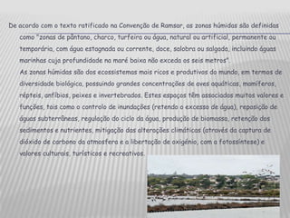 De acordo com o texto ratificado na Convenção de Ramsar, as zonas húmidas são definidas como "zonas de pântano, charco, turfeira ou água, natural ou artificial, permanente ou temporária, com água estagnada ou corrente, doce, salobra ou salgada, incluindo águas marinhas cuja profundidade na maré baixa não exceda os seis metros". As zonas húmidas são dos ecossistemas mais ricos e produtivos do mundo, em termos de diversidade biológica, possuindo grandes concentrações de aves aquáticas, mamíferos, répteis, anfíbios, peixes e invertebrados. Estes espaços têm associados muitos valores e funções, tais como o controlo de inundações (retendo o excesso de água), reposição de águas subterrâneas, regulação do ciclo da água, produção de biomassa, retenção dos sedimentos e nutrientes, mitigação das alterações climáticas (através da captura de dióxido de carbono da atmosfera e a libertação de oxigénio, com a fotossíntese) e valores culturais, turísticos e recreativos. 