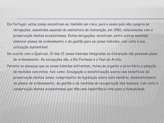 Em Portugal, estas zonas encontram-se também em risco, pois o nosso país não cumpriu as obrigações, assumidas aquando da assinatura da Convenção, em 1980, relacionadas com a preservação destes ecossistemas. Estas obrigações, envolviam, entre outras medidas, elaborar planos de ordenamento e de gestão para as zonas húmidas, com vista à sua utilização sustentável.De acordo com a Quercus, 10 das 12 zonas húmidas integradas na Convenção não possuem plano de ordenamento. As excepções são, a Ria Formosa e o Paul de Arzila. Perante as ameaças que as zonas húmidas enfrentam, torna-se urgente e prioritária a adopção de medidas concretas, tais como: Divulgação e sensibilização acerca dos benefícios de preservação destas zonas, cumprimento da legislação sobre esta matéria, desenvolvimento de planos de ordenamento, de gestão e de medidas de recuperação das mesmas, com vista à conservação destes ecossistemas que têm uma importância vital para a humanidade.