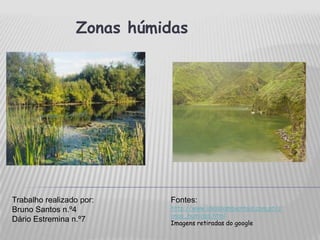 		Zonas húmidas Trabalho realizado por: Bruno Santos n.º4 Dário Estremina n.º7 Fontes: http://www.ideiasambientais.com.pt/zonas_humidas.html Imagens retiradas do google 