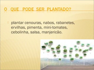    plantar cenouras, nabos, rabanetes,
    ervilhas, pimenta, mini-tomates,
    cebolinha, salsa, manjericão.
 