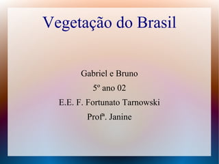 Vegetação do Brasil
Gabriel e Bruno
5º ano 02
E.E. F. Fortunato Tarnowski
Profª. Janine
 
