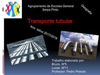 Agrupamento de Escolas General
Serpa Pinto
Transporte tubular
Trabalho elaborado por:
Bruno .Nº5
Lucas .Nº11
Professor: Pedro Peixoto