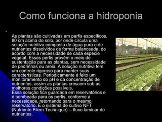 Como funciona a hidroponia




    As plantas são cultivadas em perfis específicos,
    80 cm acima do solo, por onde circula uma
    solução nutritiva composta de água pura e de
    nutrientes dissolvidos de forma balanceada, de
    acordo com a necessidade de cada espécie
    vegetal. Esses perfis provêm o meio de
    sustentação para as plantas, sem necessidade
    de pedrinhas ou areia. A solução nutritiva tem
    um controle rigoroso para manter suas
    características. Periodicamente é feito um
    monitoramento do pH e da concentração de
    nutrientes, assim as plantas crescem sob as
    melhores condições possíveis.
    Essa solução fica guardada em reservatórios e
    é bombeada para os perfis, conforme a
    necessidade, retornando para o mesmo
    reservatório. É o sistema de cultivo NFT
    (Nutriente Filem Technique) -- fluxo laminar de
    nutrientes.
 
