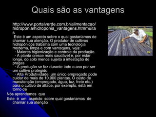 Quais são as vantagens
   http://www.portalverde.com.br/alimentacao/
   hidroponia/hidroponia_vantagens.htmmuita
   s
    Este é um aspecto sobre o qual gostaríamos de
   chamar sua atenção. O produtor de cultivos
   hidropônicos trabalha com uma tecnologia
   moderna, limpa e com vantagens, veja:
     · Maiores higienização e controle da produção.
     · A planta cresce mais saudável e, por estar
   longe, do solo menos sujeita a infestação de
   pragas
     · A produção se faz durante todo o ano por ser
   um cultivo protegido
     · Alta Produtividade: um único empregado pode
   cuidar de mais de 10.000 plantas. O custo de
   manutenção (empregado, água, luz, frete etc.)
   para o cultivo de alface, por exemplo, está em
   torno de
Nós aprendemos que
Este é um aspécto sobre qual gostariamos de
   chamar sua atençâo
 