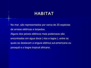 HABITAT

No mar, são representados por cerca de 20 espécies
de arraias elétricas e torpedos.
Alguns dos peixes elétricos mais poderosos são
encontrados em água doce ( rios e lagos ), entre os
quais se destacam a enguia elétrica sul-americana ou
poraquê e o bagre tropical africano.
 