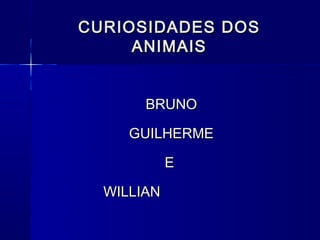 CURIOSIDADES DOS
     ANIMAIS


       BRUNO

     GUILHERME

            E

  WILLIAN
 
