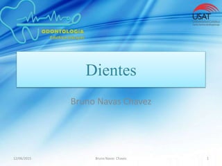Dientes
Bruno Navas Chavez
12/06/2015 Bruno Navas Chavez 1
 