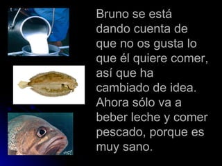 Bruno se está dando cuenta de que no os gusta lo que él quiere comer, así que ha cambiado de idea. Ahora sólo va a beber leche y comer pescado, porque es muy sano.
