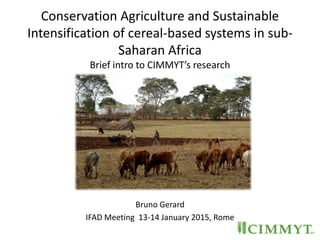 Conservation Agriculture and Sustainable
Intensification of cereal-based systems in sub-
Saharan Africa
Brief intro to CIMMYT’s research
Bruno Gerard
IFAD Meeting 13-14 January 2015, Rome
 