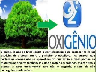 E então, temos de lutar contra a desflorestação para proteger as várias
espécies de árvores, como o pinheiro, o eucalipto… As pessoas que
cortam as árvores não se apercebem do que estão a fazer porque ao
matarem as árvores também se estão a matar a si próprios, assim estão a
esgotar a parte fundamental para nós, o oxigénio, e sem ele não
conseguimos sobreviver.
 