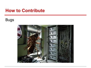 How to Contribute
Bugs
 