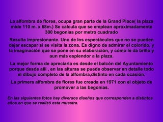 La alfombra de flores, ocupa gran parte de la Grand Place( la plaza mide 110 m. x 68m.)  Se calcula que se emplean aproximadamente 300 begonias por metro cuadrado Resulta impresionante. Uno de los espectáculos que no se pueden dejar escapar si se visita la zona. Es digno de admirar el colorido, y la imaginación que se pone en su elaboración, y cómo le da brillo y aun más esplendor a la plaza. La mejor forma de apreciarla es desde el balcón del Ayuntamiento porque desde allí , en las alturas se puede observar en detalle todo el dibujo completo de la alfombra,distinto en cada ocasión. La primera alfombra de flores fue creada en 1971 con el objeto de promover a las begonias. En las siguientes fotos hay diversos diseños que corresponden a distintos años en que se realizó esta muestra. 