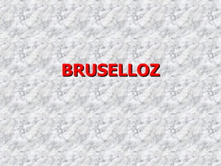 BRUSELLOZ 