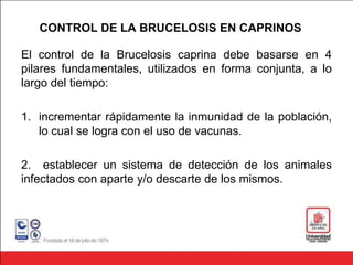 CONTROL DE LA BRUCELOSIS EN CAPRINOS
El control de la Brucelosis caprina debe basarse en 4
pilares fundamentales, utilizados en forma conjunta, a lo
largo del tiempo:
1. incrementar rápidamente la inmunidad de la población,
lo cual se logra con el uso de vacunas.
2. establecer un sistema de detección de los animales
infectados con aparte y/o descarte de los mismos.
 