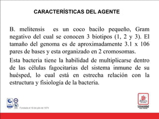 CARACTERÍSTICAS DEL AGENTE
B. melitensis es un coco bacilo pequeño, Gram
negativo del cual se conocen 3 biotipos (1, 2 y 3). El
tamaño del genoma es de aproximadamente 3.1 x 106
pares de bases y esta organizado en 2 cromosomas.
Esta bacteria tiene la habilidad de multiplicarse dentro
de las células fagocitarias del sistema inmune de su
huésped, lo cual está en estrecha relación con la
estructura y fisiología de la bacteria.
 