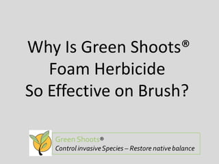 Why Is Green Shoots®
Foam Herbicide
So Effective on Brush?
 