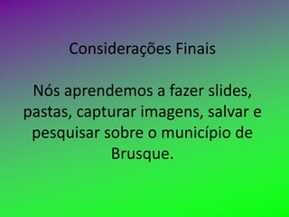 Considerações Finais

 Nós aprendemos a fazer slides,
pastas, capturar imagens, salvar e
 pesquisar sobre o município de
            Brusque.
 