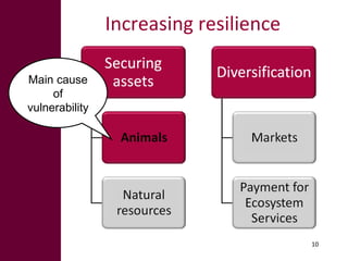 Options for enhancing resilience in pastoral systems
