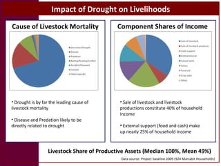 Options for enhancing resilience in pastoral systems