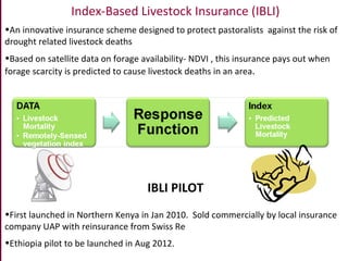 Options for enhancing resilience in pastoral systems