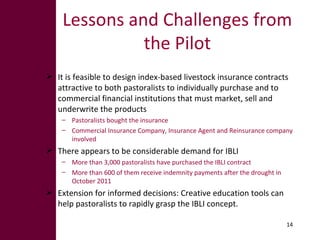 Options for enhancing resilience in pastoral systems