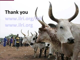 Options for enhancing resilience in pastoral systems