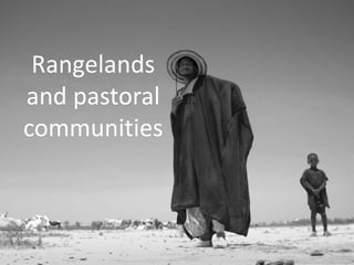 Options for enhancing resilience in pastoral systems