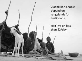 Options for enhancing resilience in pastoral systems