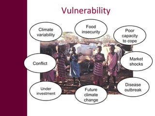 Options for enhancing resilience in pastoral systems