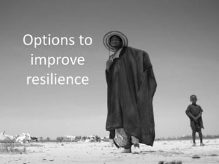 Options for enhancing resilience in pastoral systems