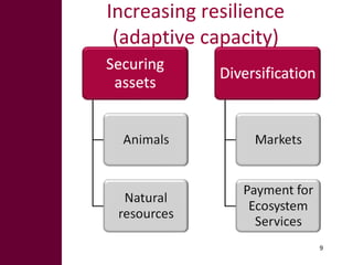 Options for enhancing resilience in pastoral systems