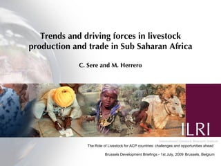 Trends and driving forces in livestock
production and trade in Sub Saharan Africa

            C. Sere and M. Herrero




               The Role of Livestock for ACP countries: challenges and opportunities ahead

                         Brussels Development Briefings - 1st July, 2009 Brussels, Belgium
 