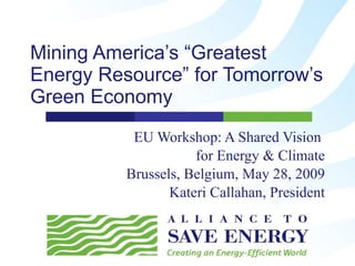 Mining America’s “Greatest Energy Resource” for Tomorrow’s Green Economy EU Workshop: A Shared Vision  for Energy & Climate Brussels, Belgium, May 28, 2009 Kateri Callahan, President 