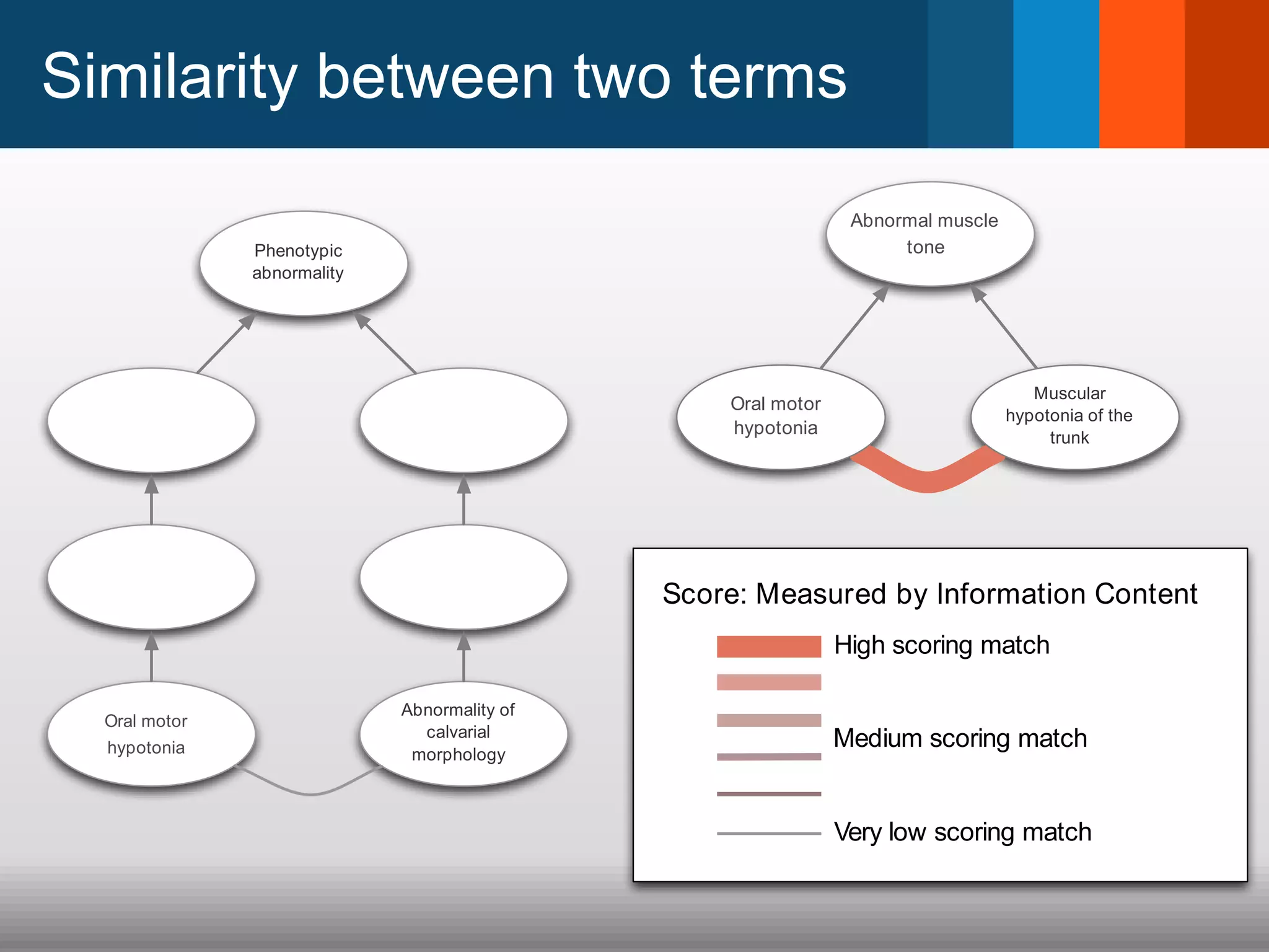 Similarity between two terms
Oral motor
hypotonia
Muscular
hypotonia of the
trunk
Abnormal muscle
tone
Oral motor
hypotonia
Abnormality of
calvarial
morphology
Phenotypic
abnormality
High scoring match
Very low scoring match
Medium scoring match
Score: Measured by Information Content
 