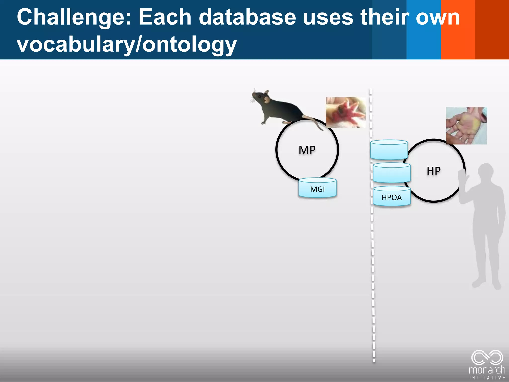 Challenge: Each database uses their own
vocabulary/ontology
MP
HP
MGI
HPOA
 