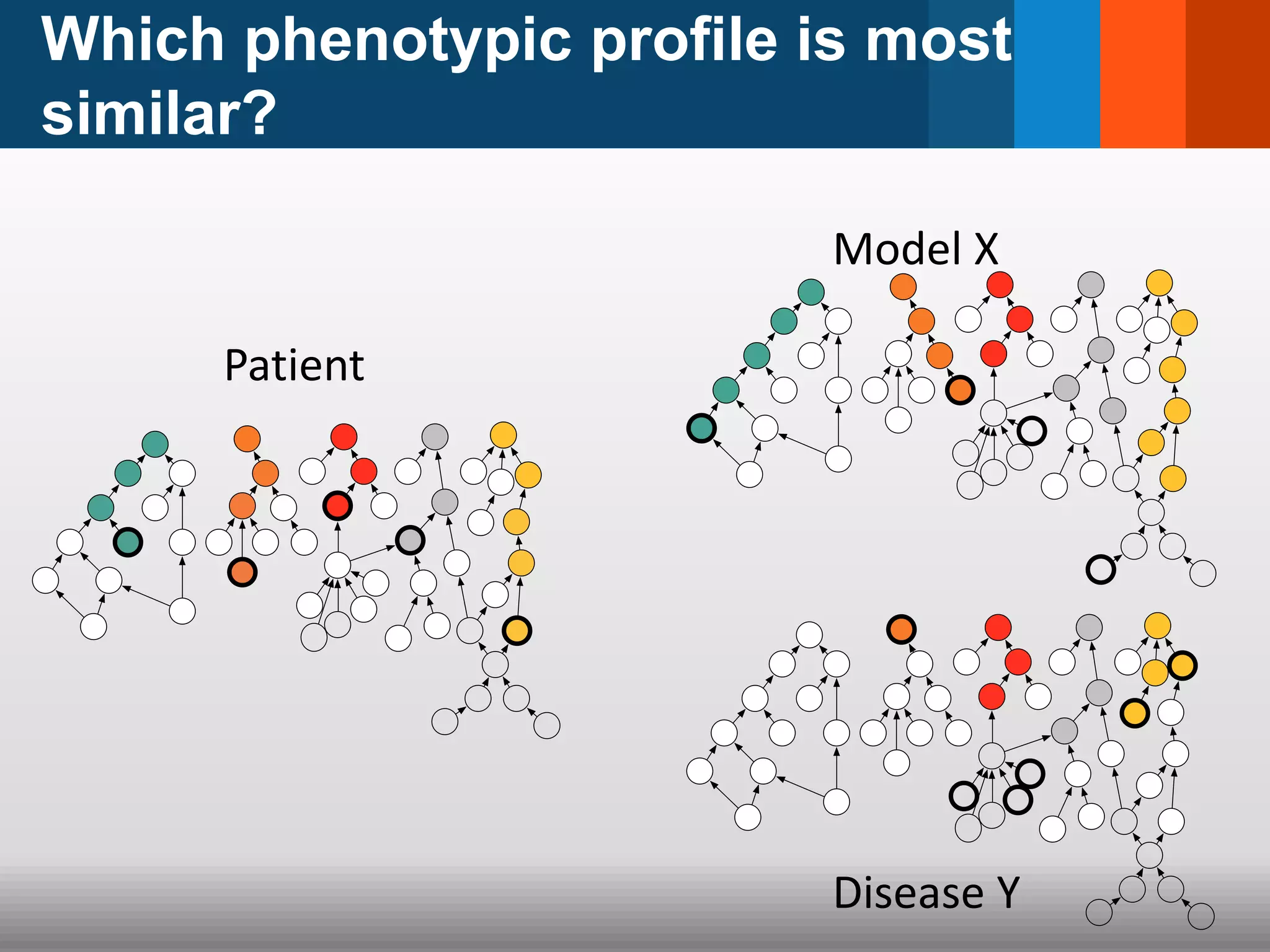 Which phenotypic profile is most
similar?
Model X
Patient
Disease Y
 