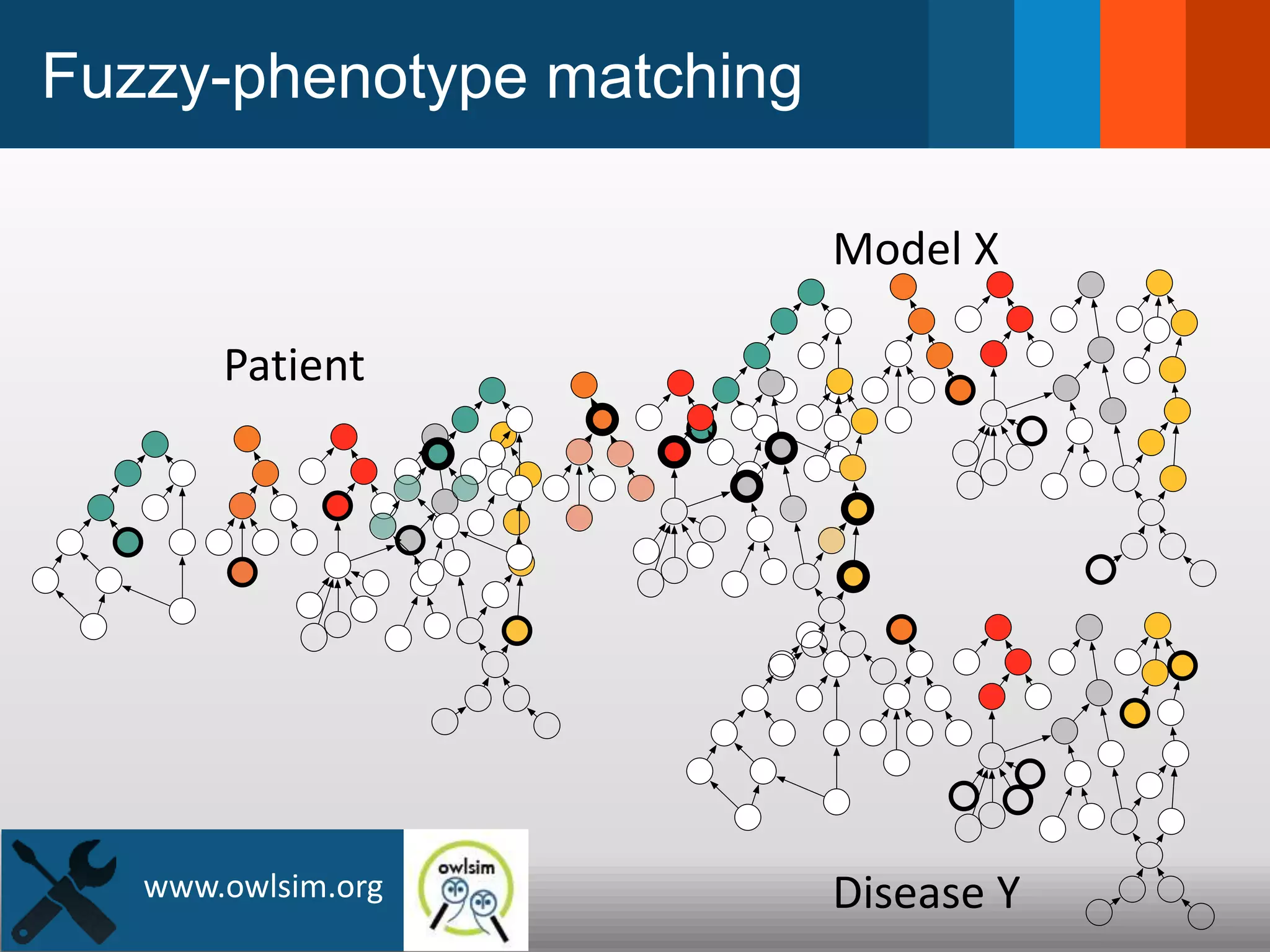 Model X
Patient
Disease Ywww.owlsim.org
Fuzzy-phenotype matching
 