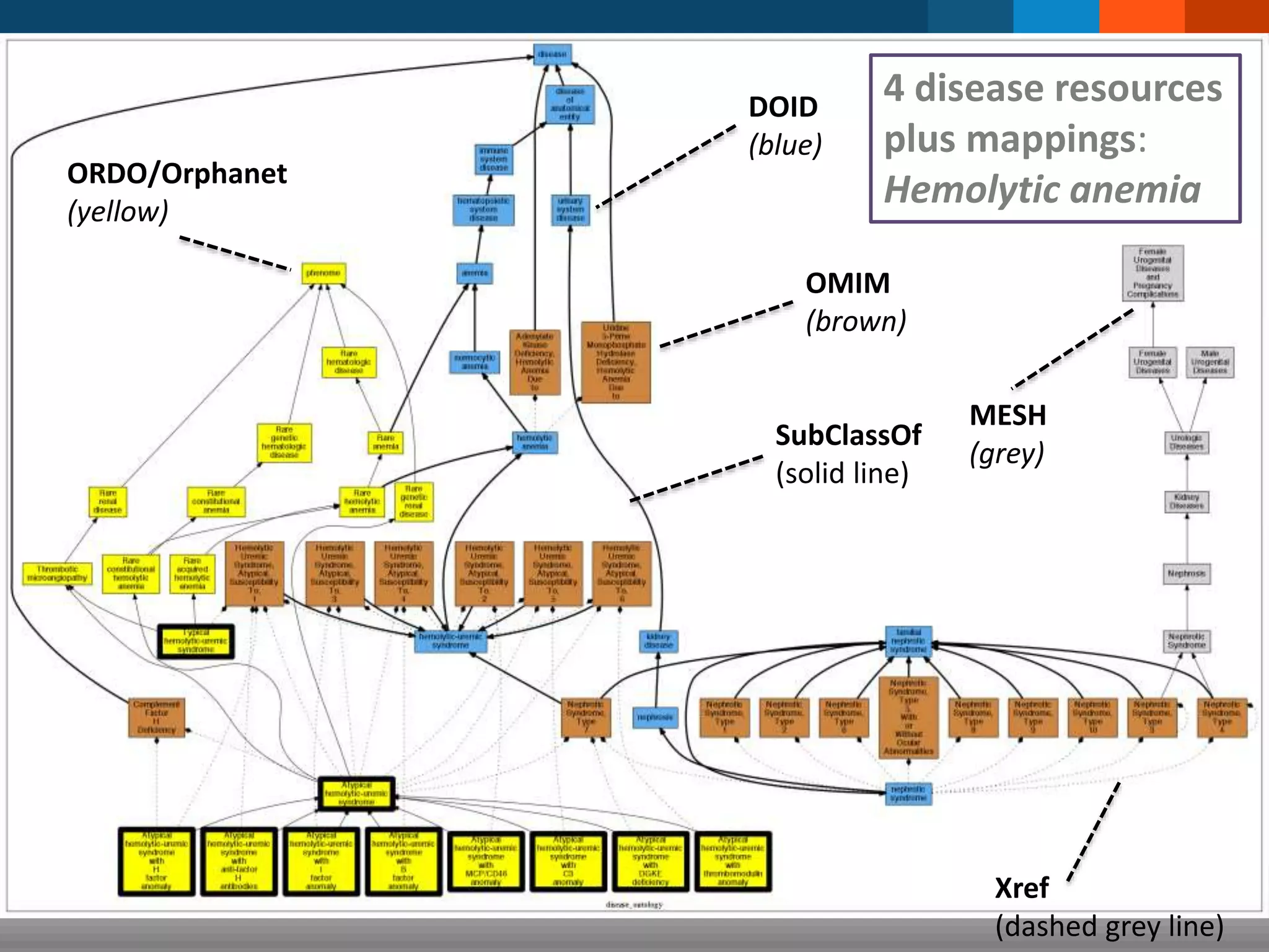 DOID
(blue)
OMIM
(brown)
MESH
(grey)
ORDO/Orphanet
(yellow)
SubClassOf
(solid line)
Xref
(dashed grey line)
4 disease resources
plus mappings:
Hemolytic anemia
 