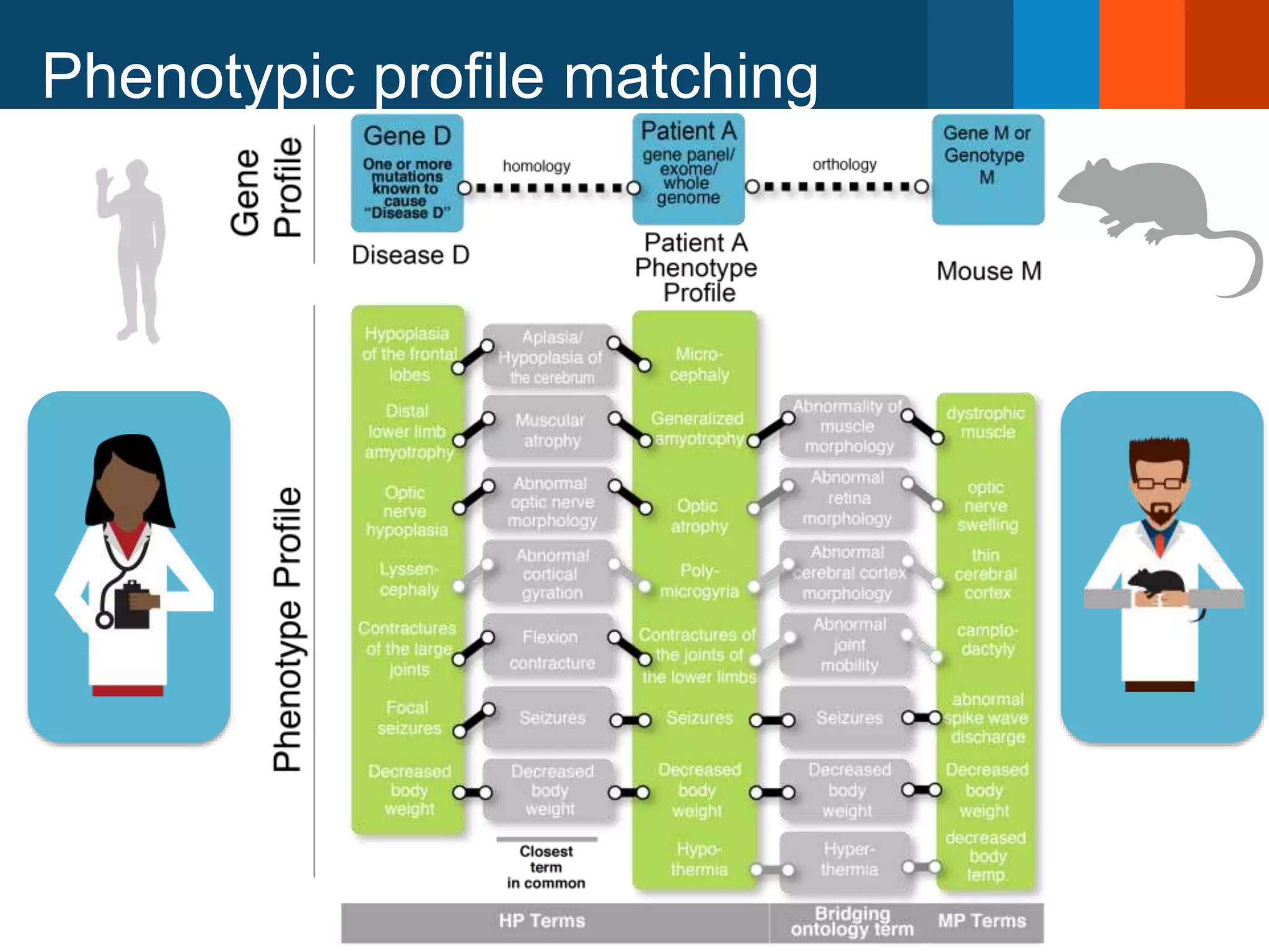 Phenotypic profile matching
 