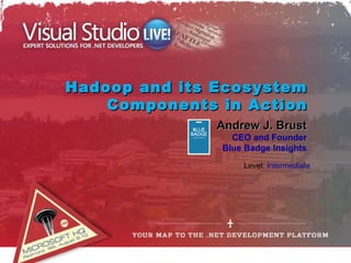 Hadoop and its Ecosystem
    Components in Action
               Andrew J. Brust
                 CEO and Founder
               Blue Badge Insights
                   Level: Intermediate
 