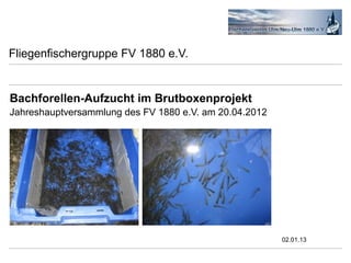 Fliegenfischergruppe FV 1880 e.V.


Bachforellen-Aufzucht im Brutboxenprojekt
Jahreshauptversammlung des FV 1880 e.V. am 20.04.2012




                                                        02.01.13
 