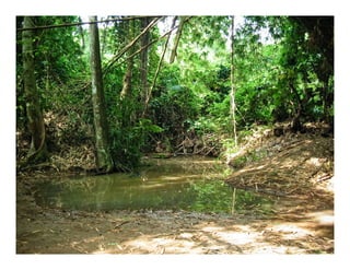 Joshua To Brute Labs