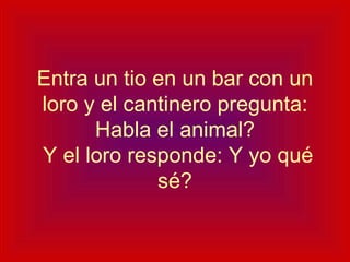 Entra un tio en un bar con un loro y el cantinero pregunta: Habla el animal?  Y el loro responde: Y yo qué sé? 