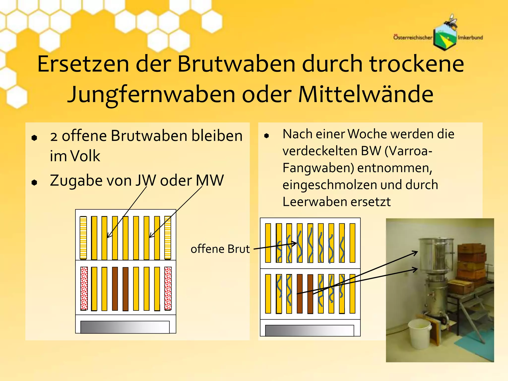  2 offene Brutwaben bleiben
imVolk
 Zugabe von JW oder MW
 Nach einerWoche werden die
verdeckelten BW (Varroa-
Fangwaben) entnommen,
eingeschmolzen und durch
Leerwaben ersetzt
Ersetzen der Brutwaben durch trockene
Jungfernwaben oder Mittelwände
offene Brut
 
