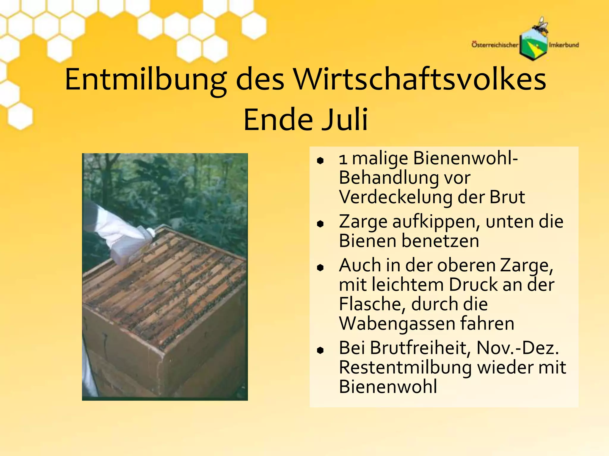 Entmilbung des Wirtschaftsvolkes
Ende Juli
 1 malige Bienenwohl-
Behandlung vor
Verdeckelung der Brut
 Zarge aufkippen, unten die
Bienen benetzen
 Auch in der oberen Zarge,
mit leichtem Druck an der
Flasche, durch die
Wabengassen fahren
 Bei Brutfreiheit, Nov.-Dez.
Restentmilbung wieder mit
Bienenwohl
 