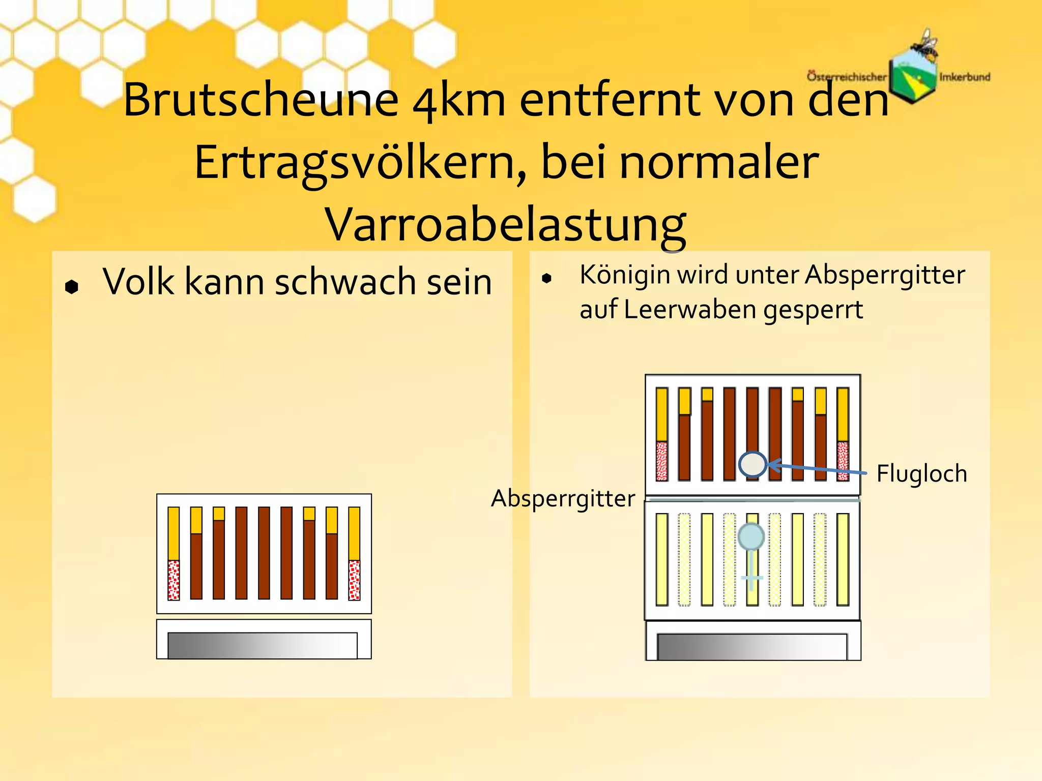 Brutscheune 4km entfernt von den
Ertragsvölkern, bei normaler
Varroabelastung
 Königin wird unter Absperrgitter
auf Leerwaben gesperrt
 Volk kann schwach sein
Absperrgitter
Flugloch
 
