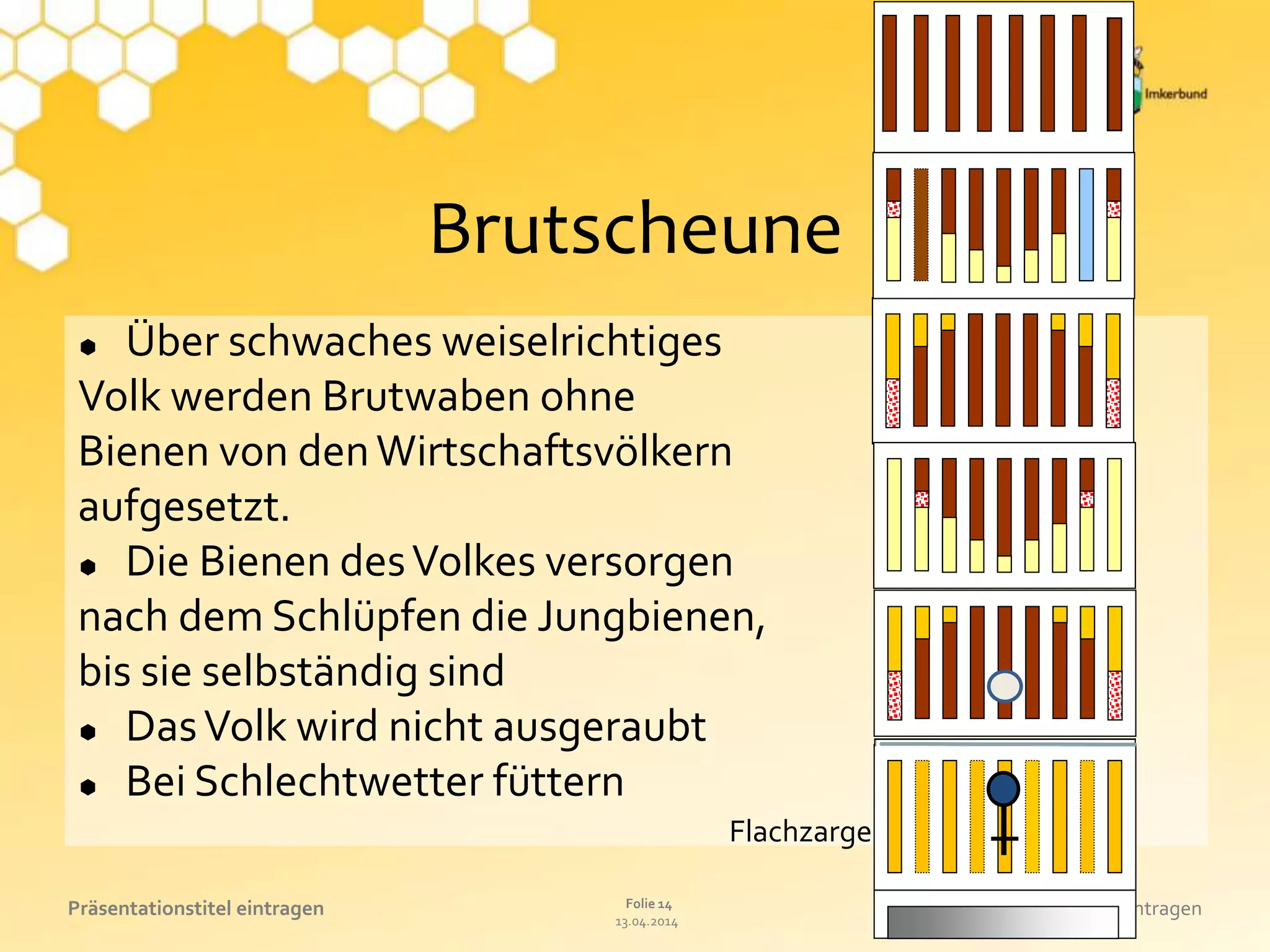 13.04.2014
Folie 14Präsentationstitel eintragen Referat oder Name eintragen
Brutscheune
 Über schwaches weiselrichtiges
Volk werden Brutwaben ohne
Bienen von denWirtschaftsvölkern
aufgesetzt.
 Die Bienen desVolkes versorgen
nach dem Schlüpfen die Jungbienen,
bis sie selbständig sind
 DasVolk wird nicht ausgeraubt
 Bei Schlechtwetter füttern
Flachzarge
 