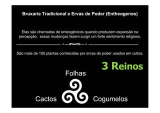Bruxaria Tradicional e Ervas de Poder (Entheogenos)
Elas são chamadas de enteogénicos quando produzem expansão na
percepção, essas mudanças fazem surgir um forte sentimento religioso.
São mais de 150 plantas conhecidas por ervas de poder usados em cultos.
Cactos Cogumelos
Folhas
3 Reinos
 